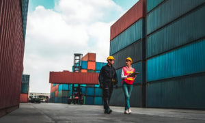 Professionele douaneagent verwerkt transitaangiften